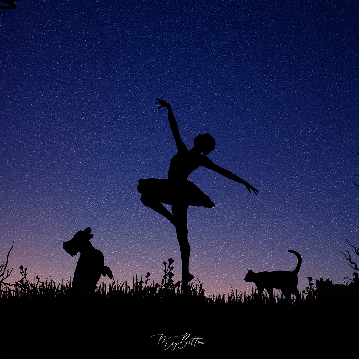 Night Sky Silhouettes All in One Kit - Meg Bitton Productions