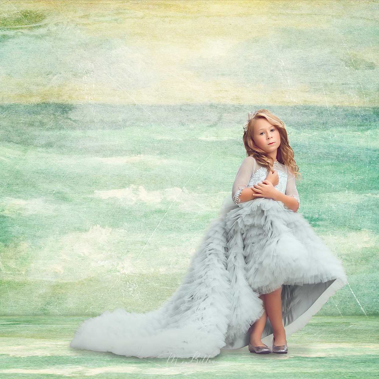 Digital Studio Backdrop: Fine Art Beach - Meg Bitton Productions