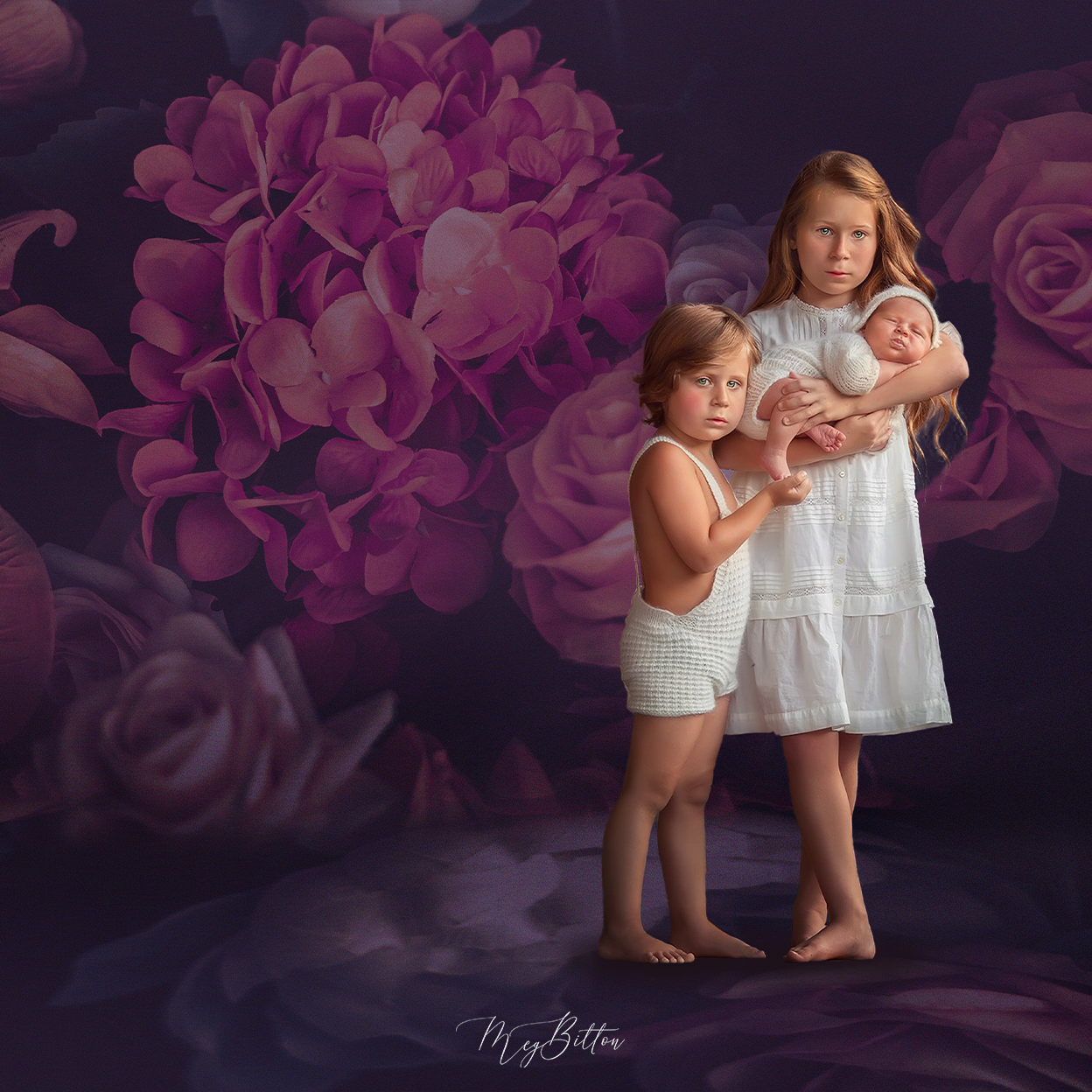 Digital Studio Backdrop: Passionate Plum - Meg Bitton Productions