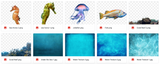 The Under the Sea Kit - Meg Bitton Productions
