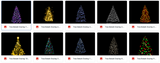 Magical Tree Bokeh - Meg Bitton Productions