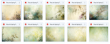 The This Won't Be Around Long Huge Texture Bundle - Meg Bitton Productions