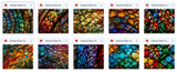 The This Won't Be Around Long Huge Texture Bundle - Meg Bitton Productions