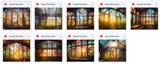 The Hurry Before I Change My Mind Digital Background Bundle - Meg Bitton Productions