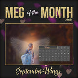 Magical Fairy Wing Brushes - Meg Bitton Productions