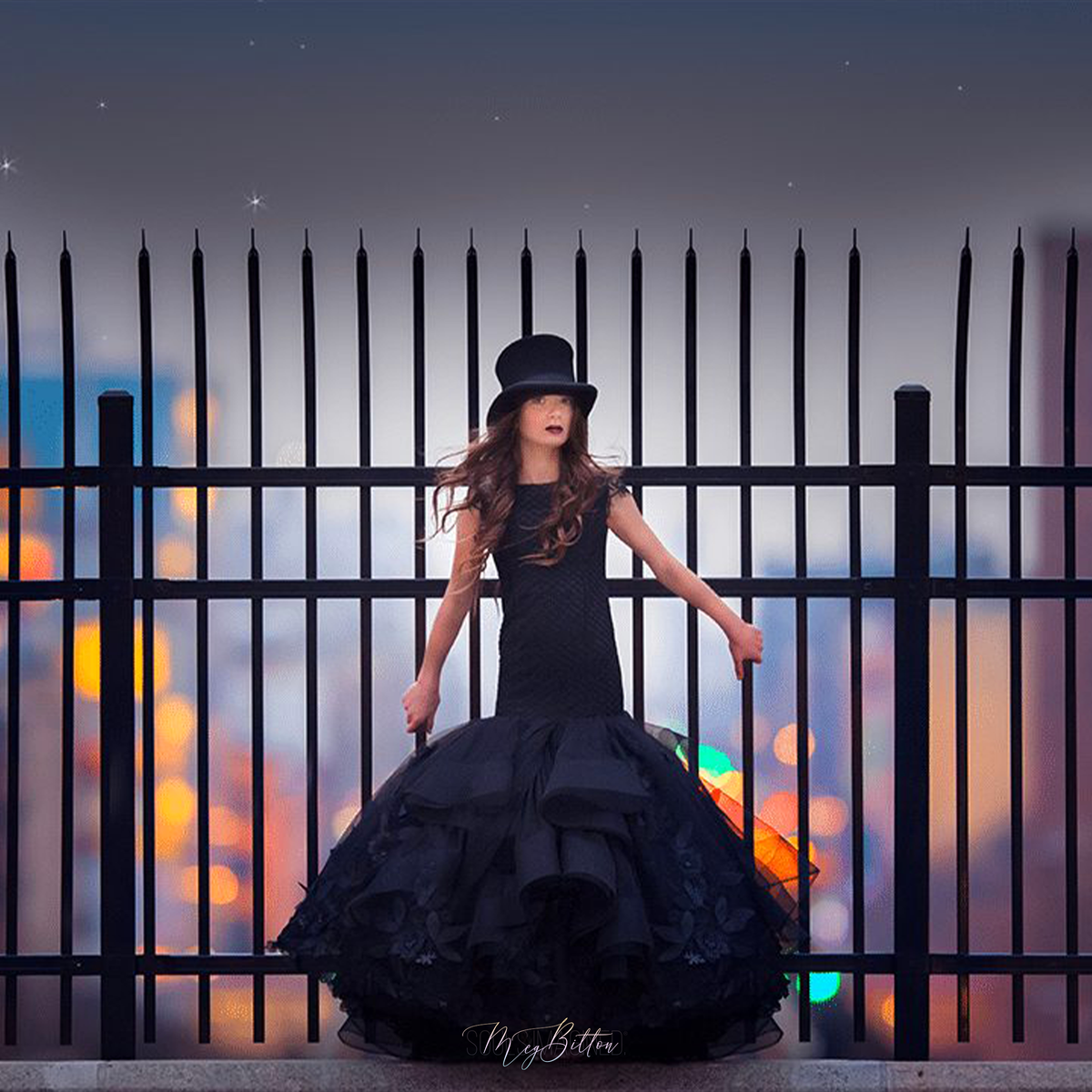The Iconic Bundle - Meg Bitton Productions