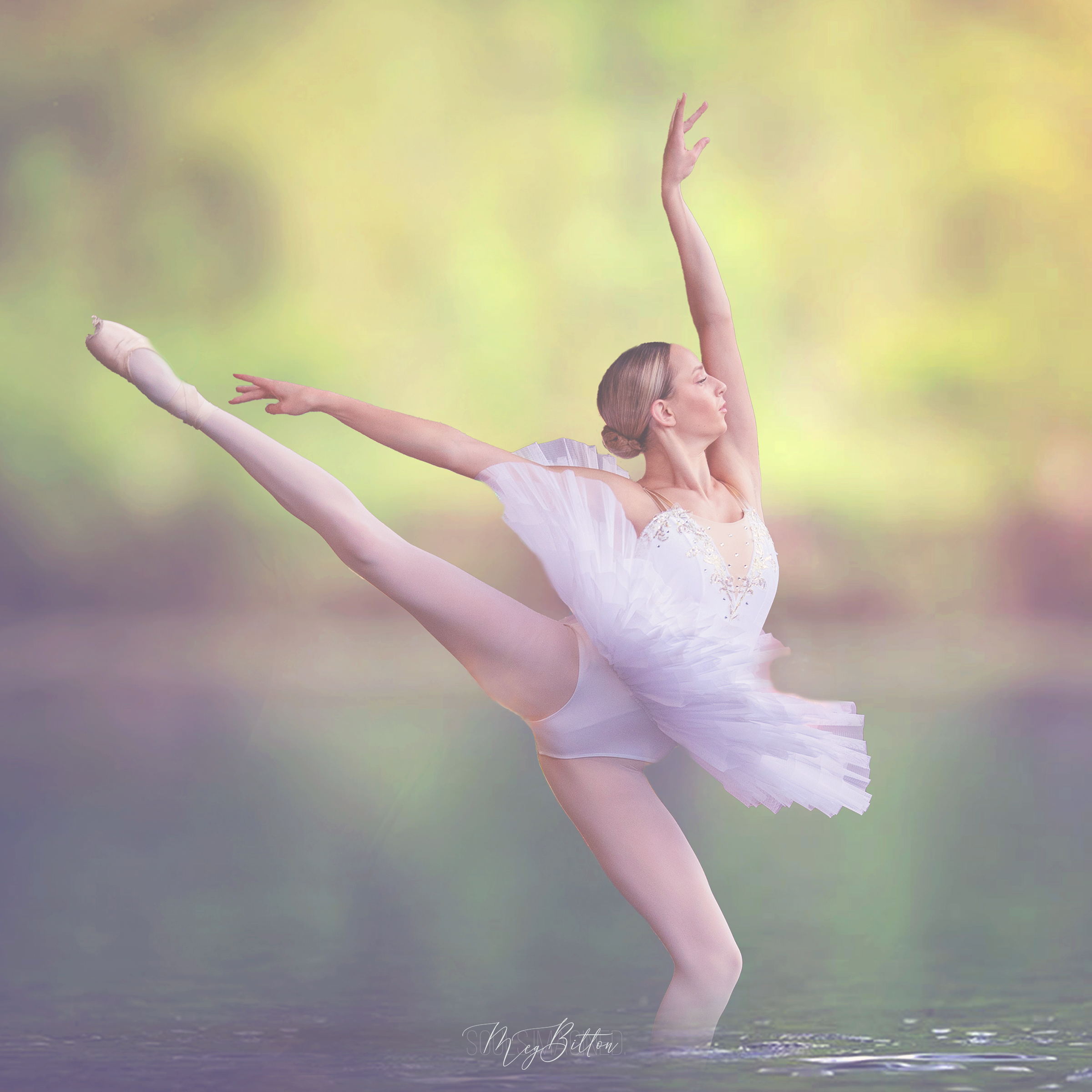 The Water Mini Bundle - Meg Bitton Productions