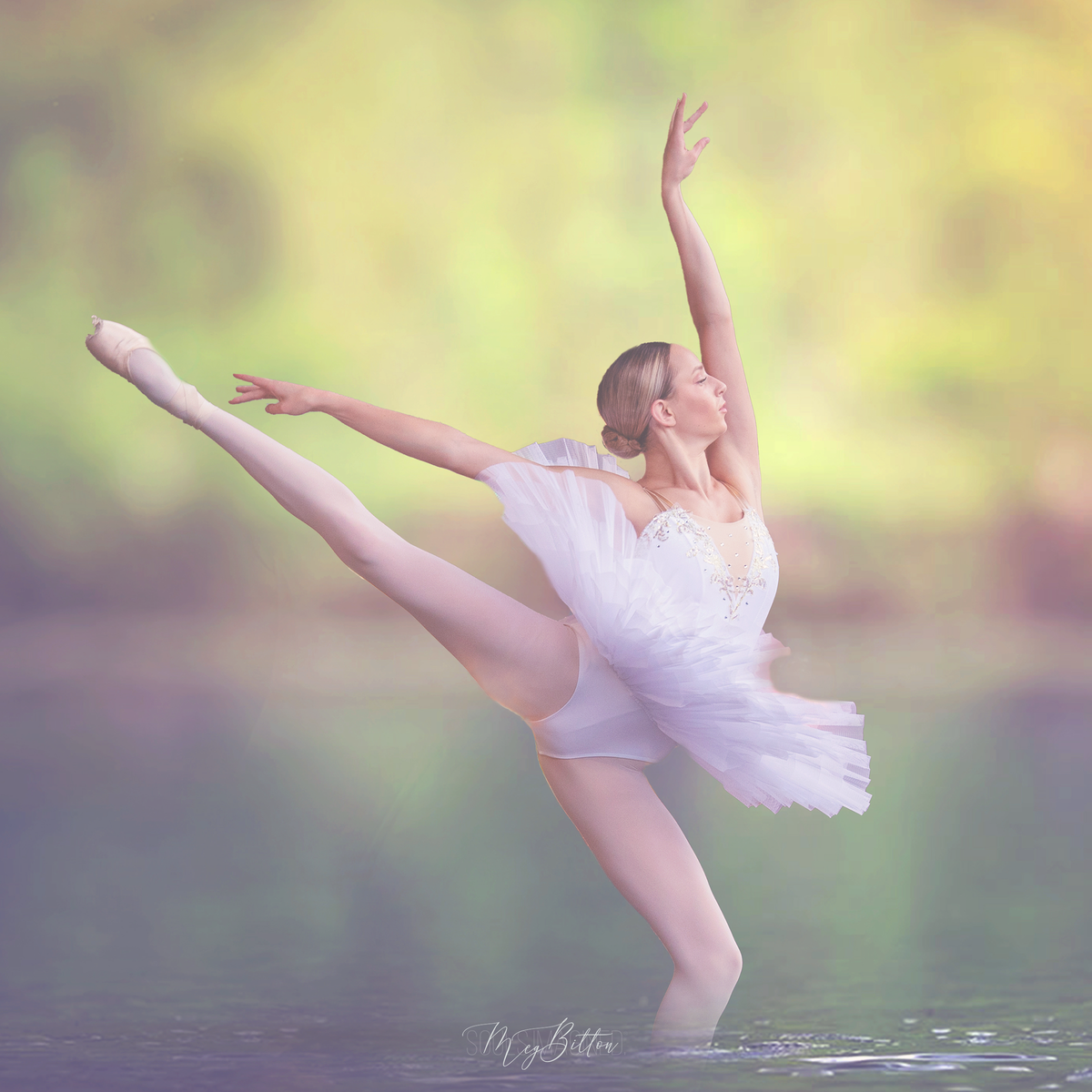 The Water Mini Bundle - Meg Bitton Productions