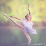 The Water Mini Bundle - Meg Bitton Productions