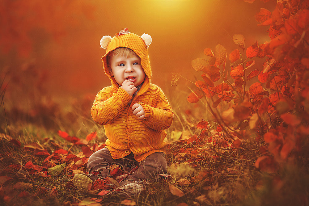 Autumn Bear - Meg Bitton Productions