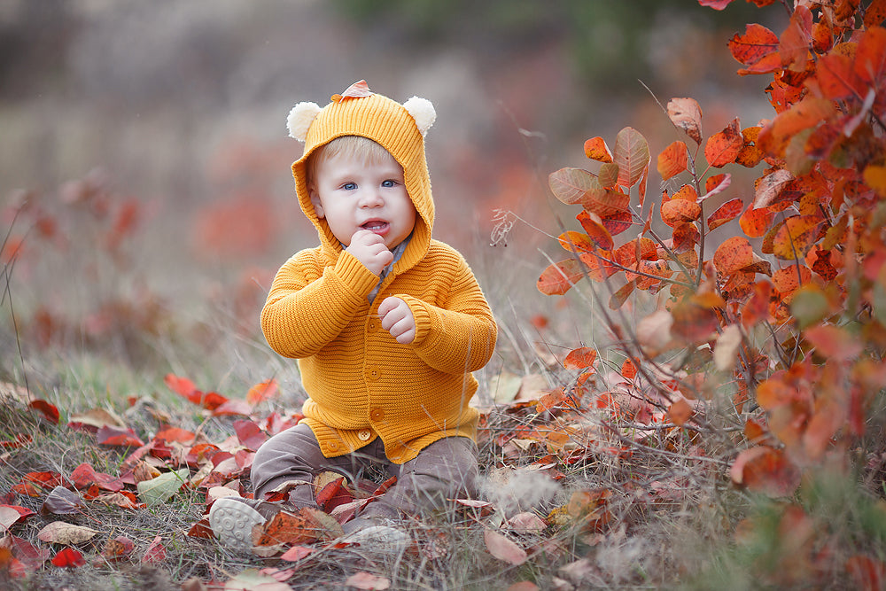 Autumn Bear - Meg Bitton Productions