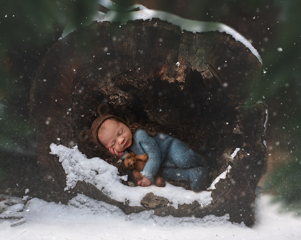 Snuggle Bear - Meg Bitton Productions