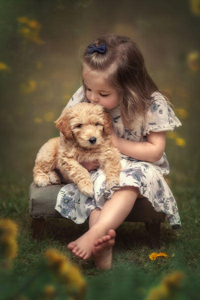 Baby Doodle - Meg Bitton Productions