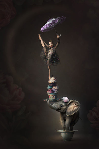 Balancing Act - Meg Bitton Productions