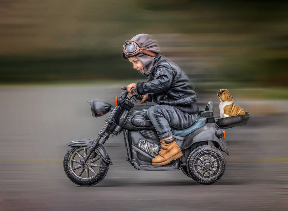 Bike in Motion - Meg Bitton Productions