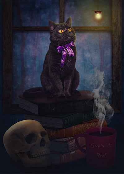 Black Kitty - Meg Bitton Productions
