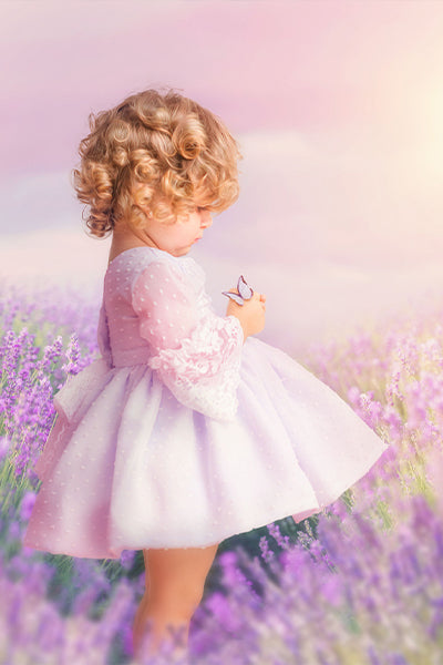 Butterflies in Lavender - Meg Bitton Productions