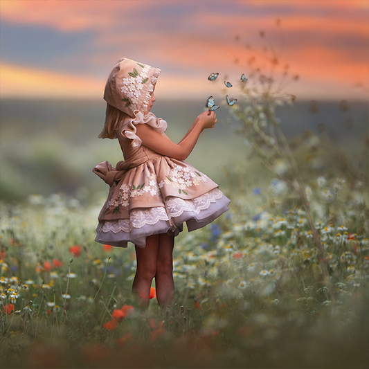 Butterfly Dreams - Meg Bitton Productions