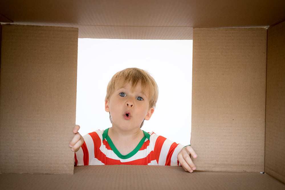 Christmas Surprise - Meg Bitton Productions