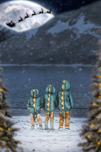 Christmas Views - Meg Bitton Productions