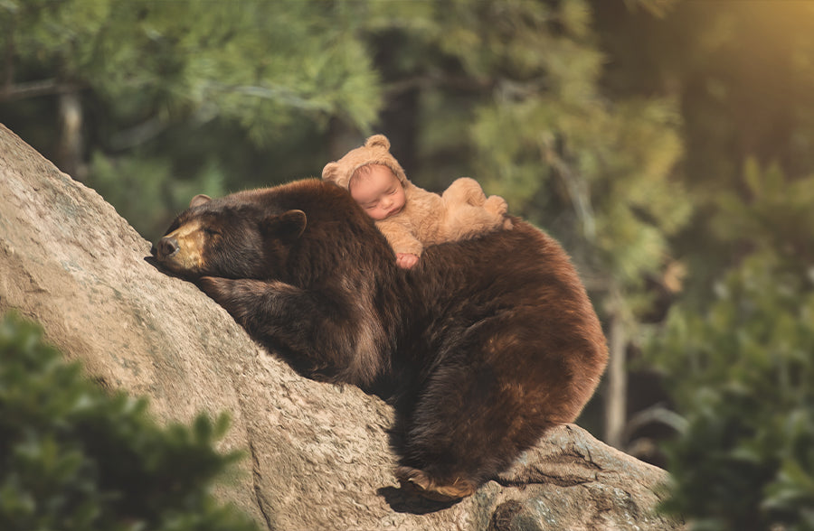 Cuddle Bear - Meg Bitton Productions
