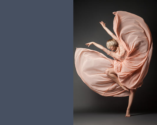 Dance of the Flamingos - Meg Bitton Productions