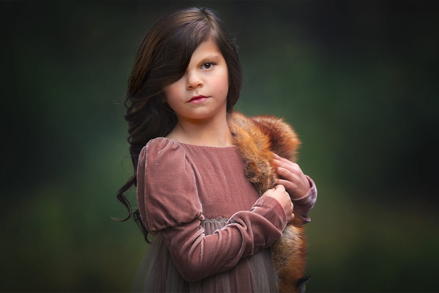 Dramatic Fall Fox - Meg Bitton Productions