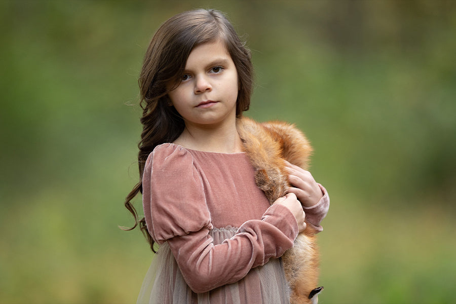 Dramatic Fall Fox - Meg Bitton Productions