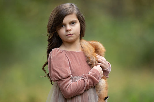 Dramatic Fall Fox - Meg Bitton Productions