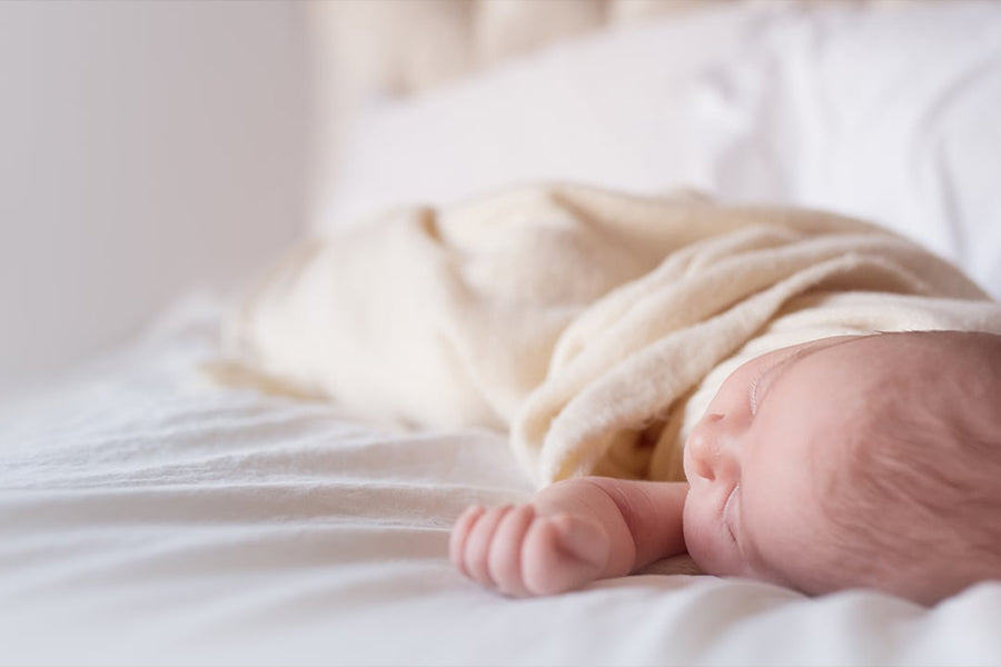 Dream Baby - Meg Bitton Productions