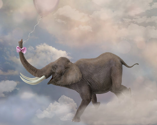Elephant Flight - Meg Bitton Productions