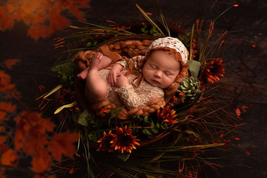 Fall Snug - Meg Bitton Productions
