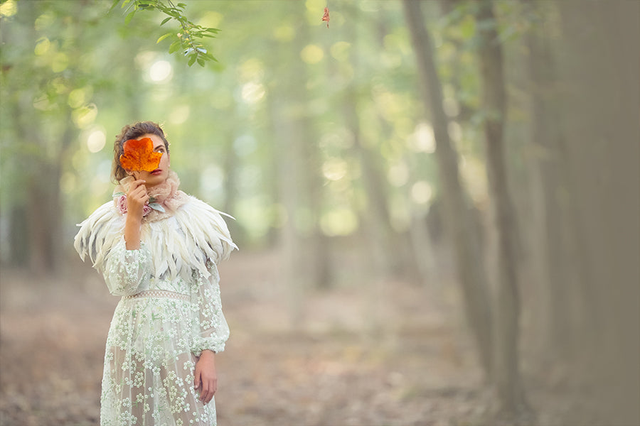 Feathers and Fall - Meg Bitton Productions