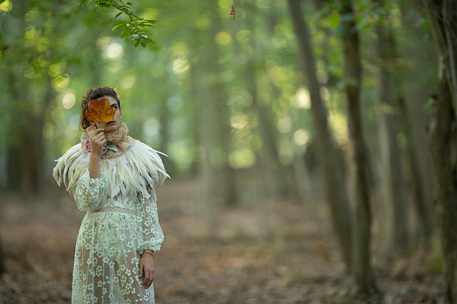 Feathers and Fall - Meg Bitton Productions