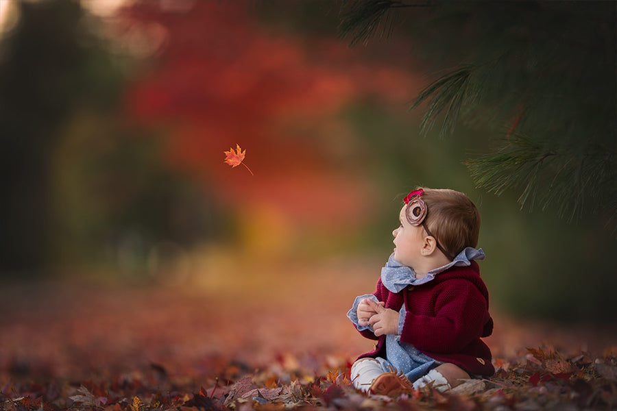 Fiery Fall - Meg Bitton Productions