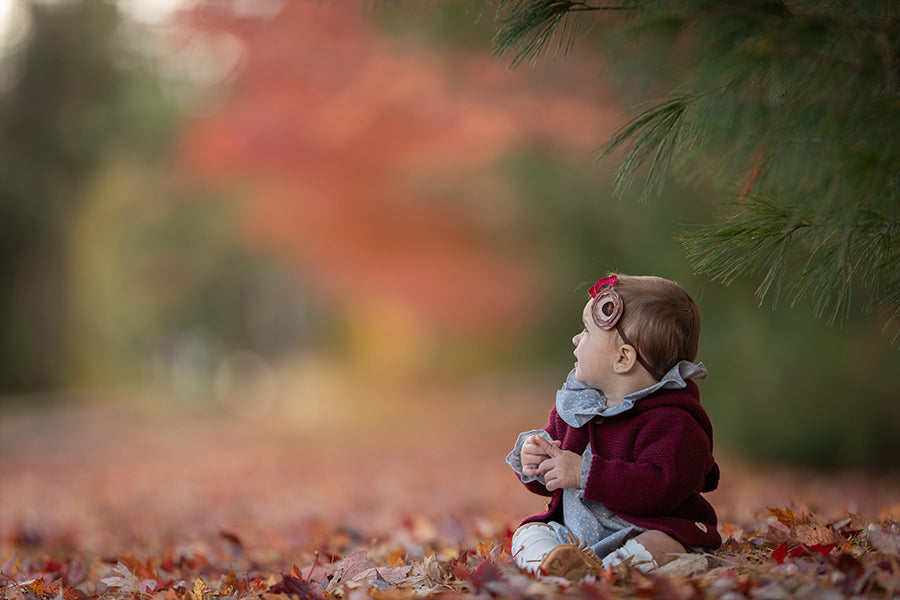 Fiery Fall - Meg Bitton Productions