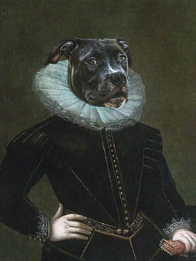 Fine Art: Pets - Meg Bitton Productions