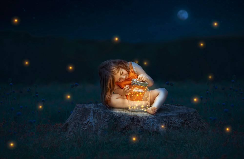Firefly Night - Meg Bitton Productions