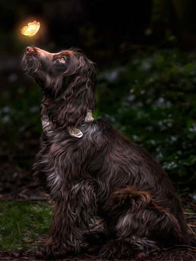 Five Minute Edit: Portrait of a Puppy - Meg Bitton Productions