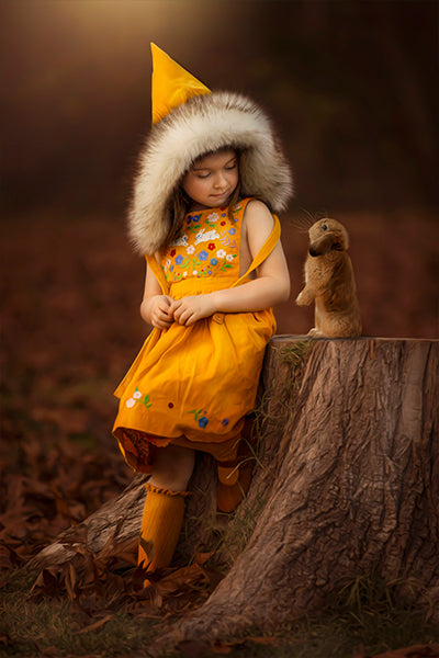 Forest Elf - Meg Bitton Productions