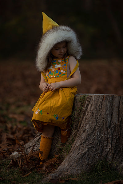 Forest Elf - Meg Bitton Productions