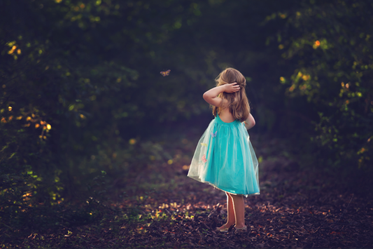 Forest Fairy - Meg Bitton Productions
