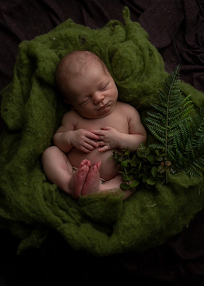 Forest Wonder - Meg Bitton Productions