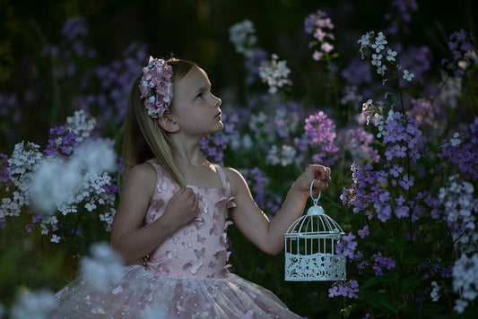 Garden Butterflies - Meg Bitton Productions