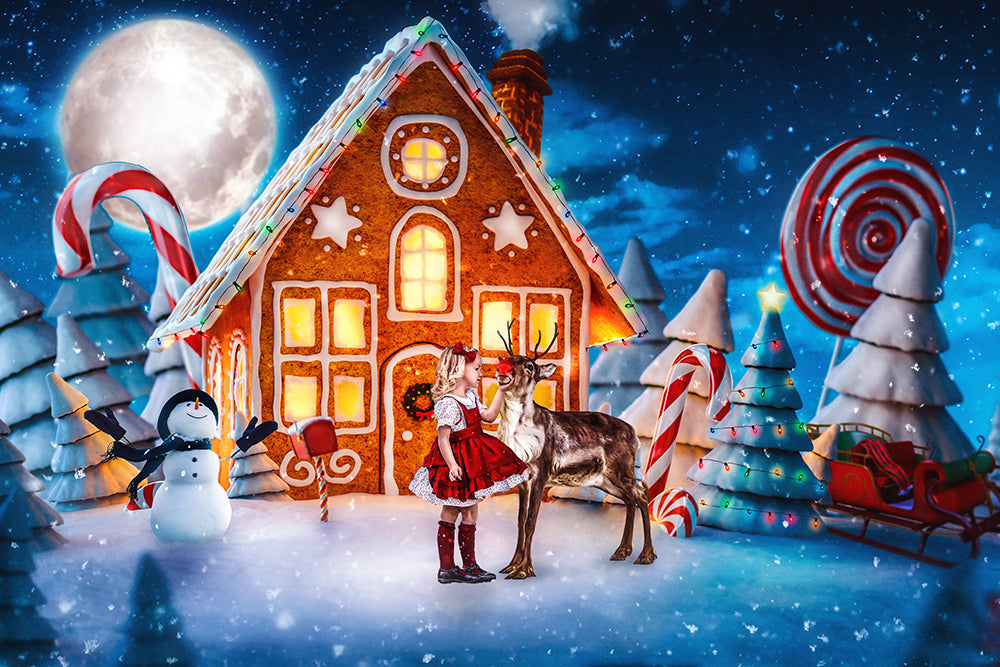 Gingerbread House - Meg Bitton Productions