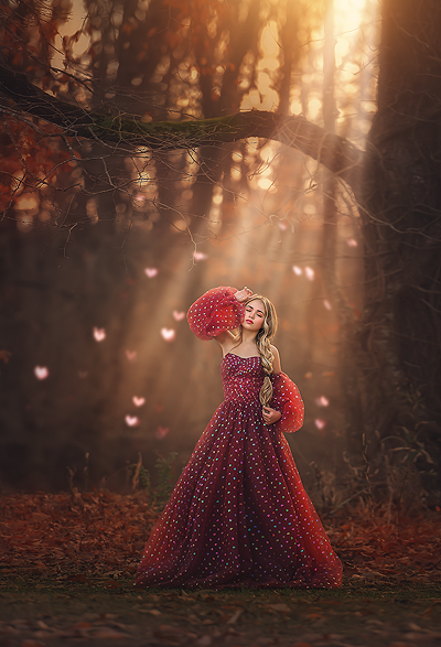 Hidden Hearts - Meg Bitton Productions