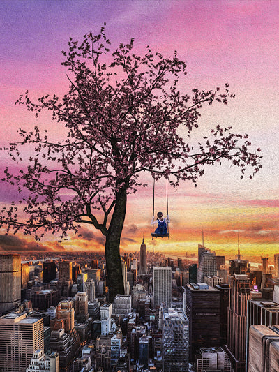 High in the Sky - Meg Bitton Productions