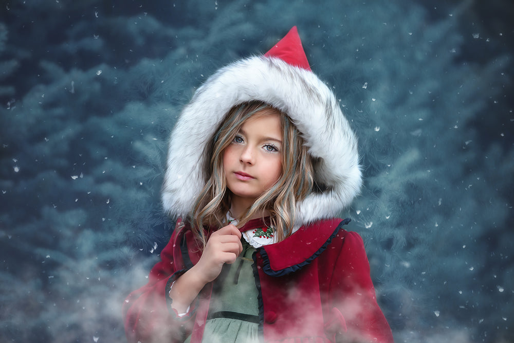 Holiday Blizzard - Meg Bitton Productions