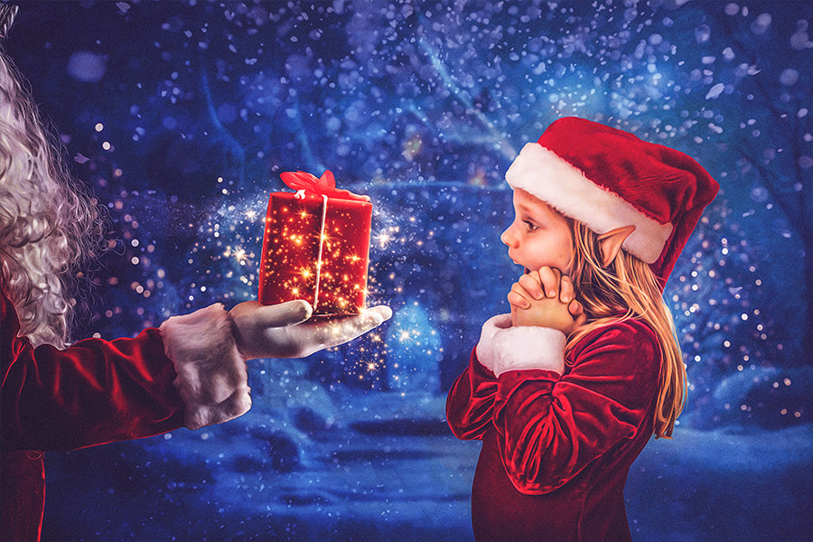 Holiday Surprise - Meg Bitton Productions