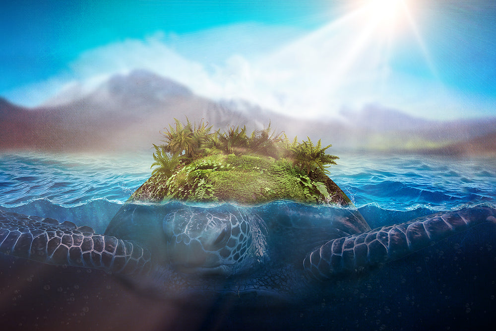 Into the Ocean - Meg Bitton Productions
